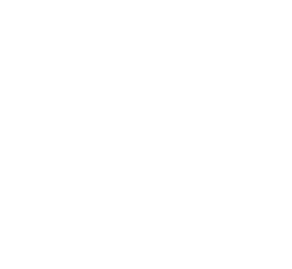 logo sfedu light